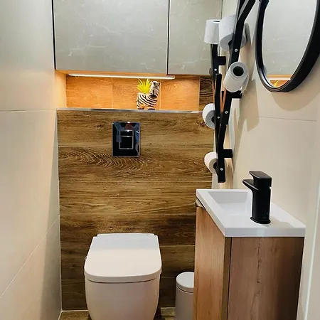 T3 Centre Apartment Cannes