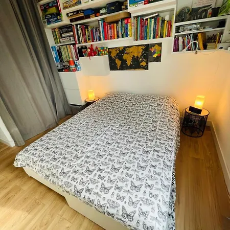 T3 Centre 公寓 戛纳